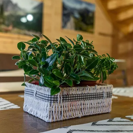 Widokowe Domki Gawlaki Zakopane Exteriér fotografie