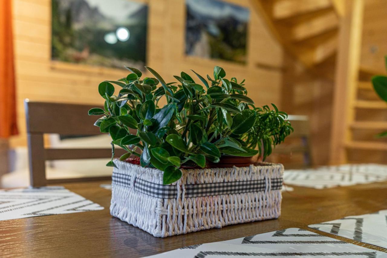 Prázdninový dům Widokowe Gawlaki Zakopane